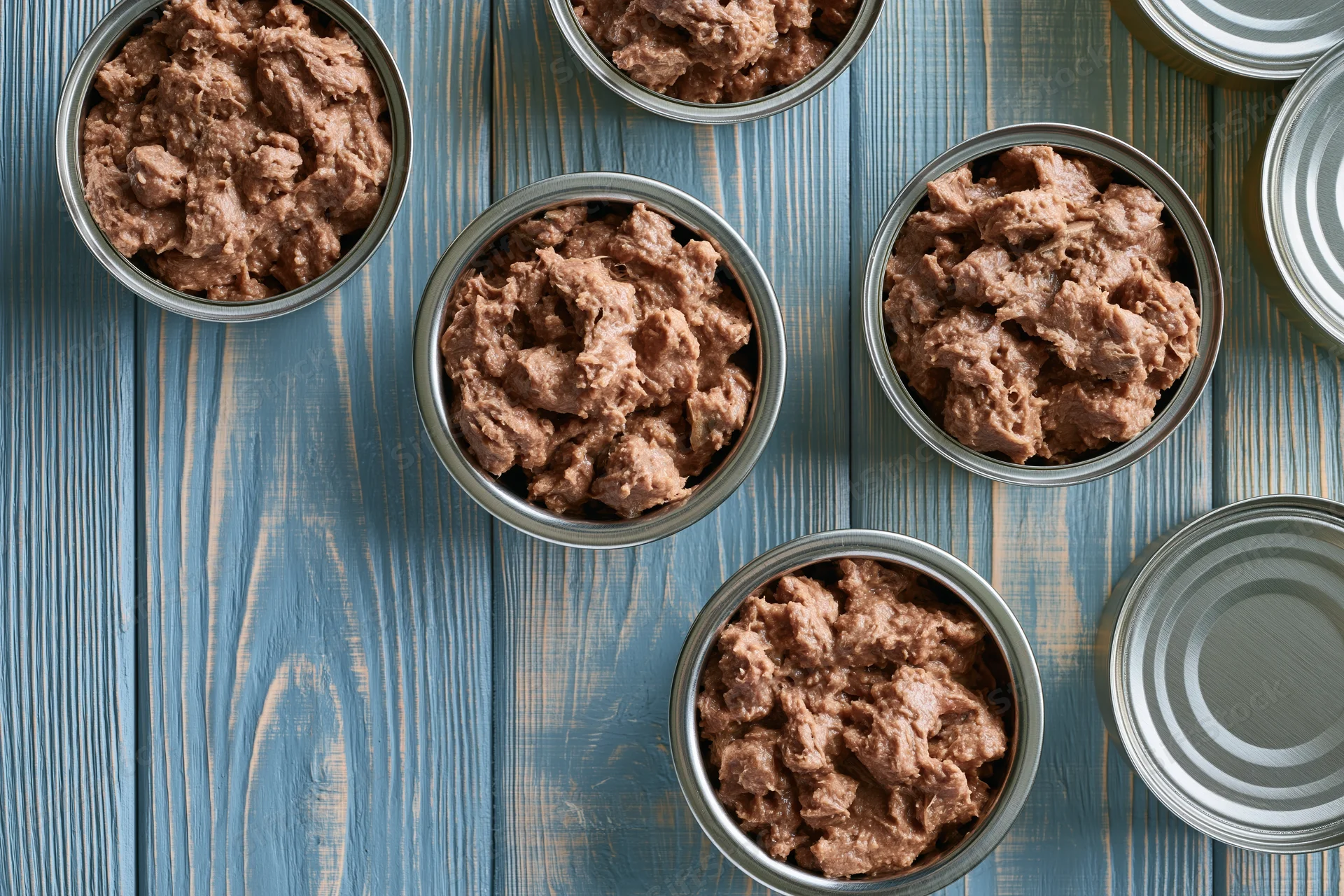 Open metal pet food cans arranged on a blue wooden surface