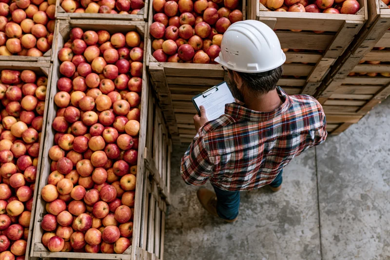 Warehouse worker inspecting apples in crates with clipboard from overhead view