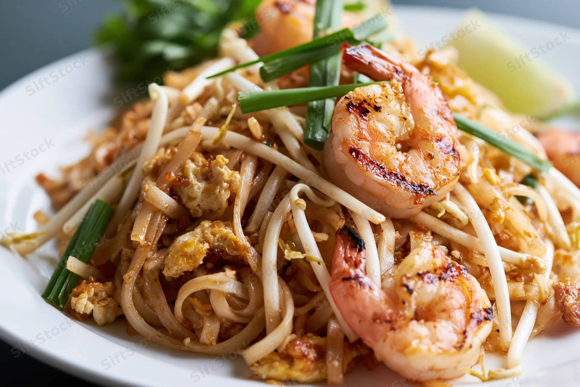 Pad thai noodles with grilled shrimp and scrambled egg on a white plate garnished with bean sprouts and chives