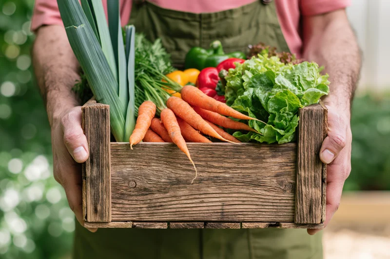 Farmer holding wooden crate filled with fresh vegetables in garden