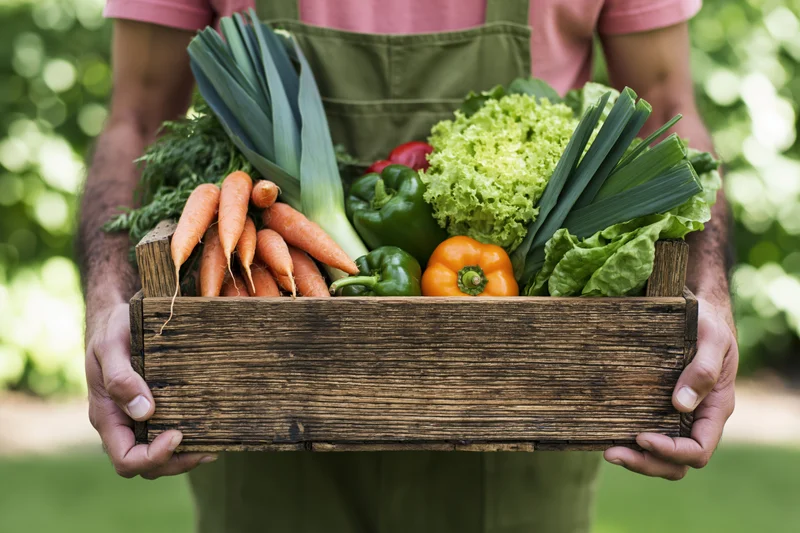 Farmer holding wooden crate filled with fresh vegetables in garden