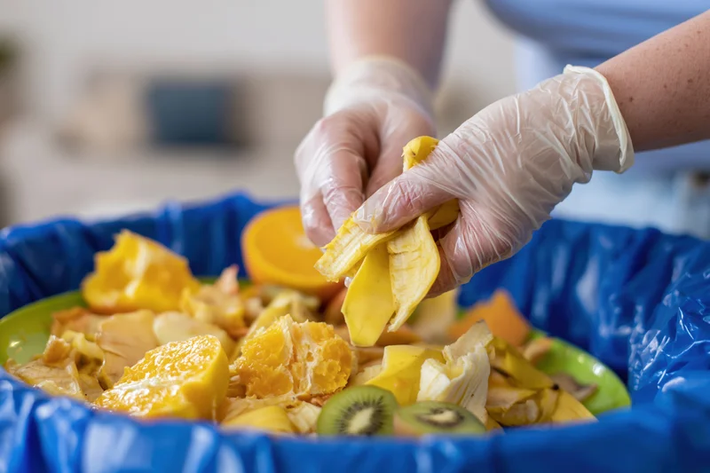 Hands in disposable gloves placing fruit peels into a blue compost bin