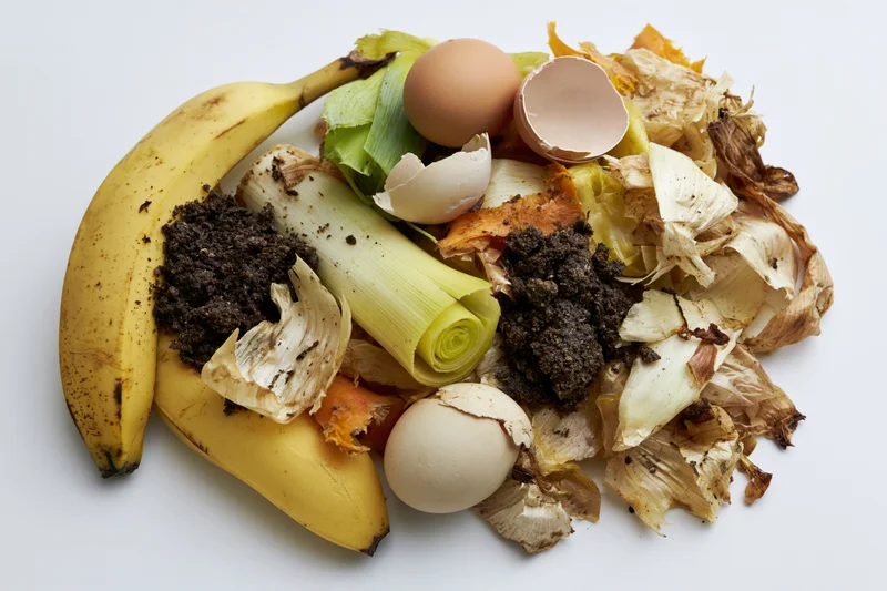 Pile of kitchen compost scraps including banana peels, eggshells, onion skins and leek ends on white surface