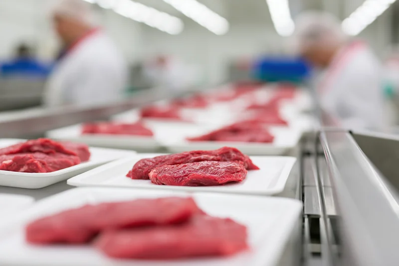 Raw beef slices on white foam trays moving along a conveyor line in a meat processing facility
