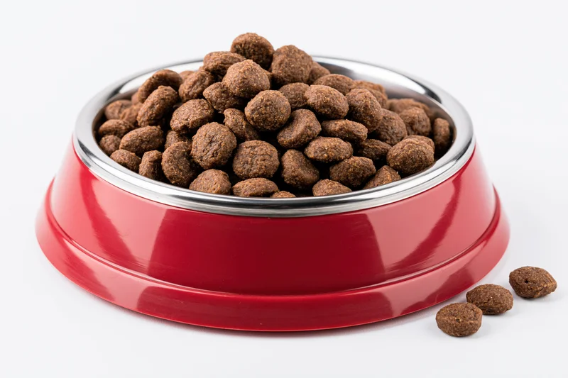 Red and silver pet food bowl filled with dry kibble on white background