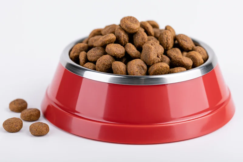 Red and silver pet food bowl filled with dry kibble on white background