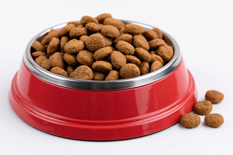 Red and silver pet food bowl filled with dry kibble on white background