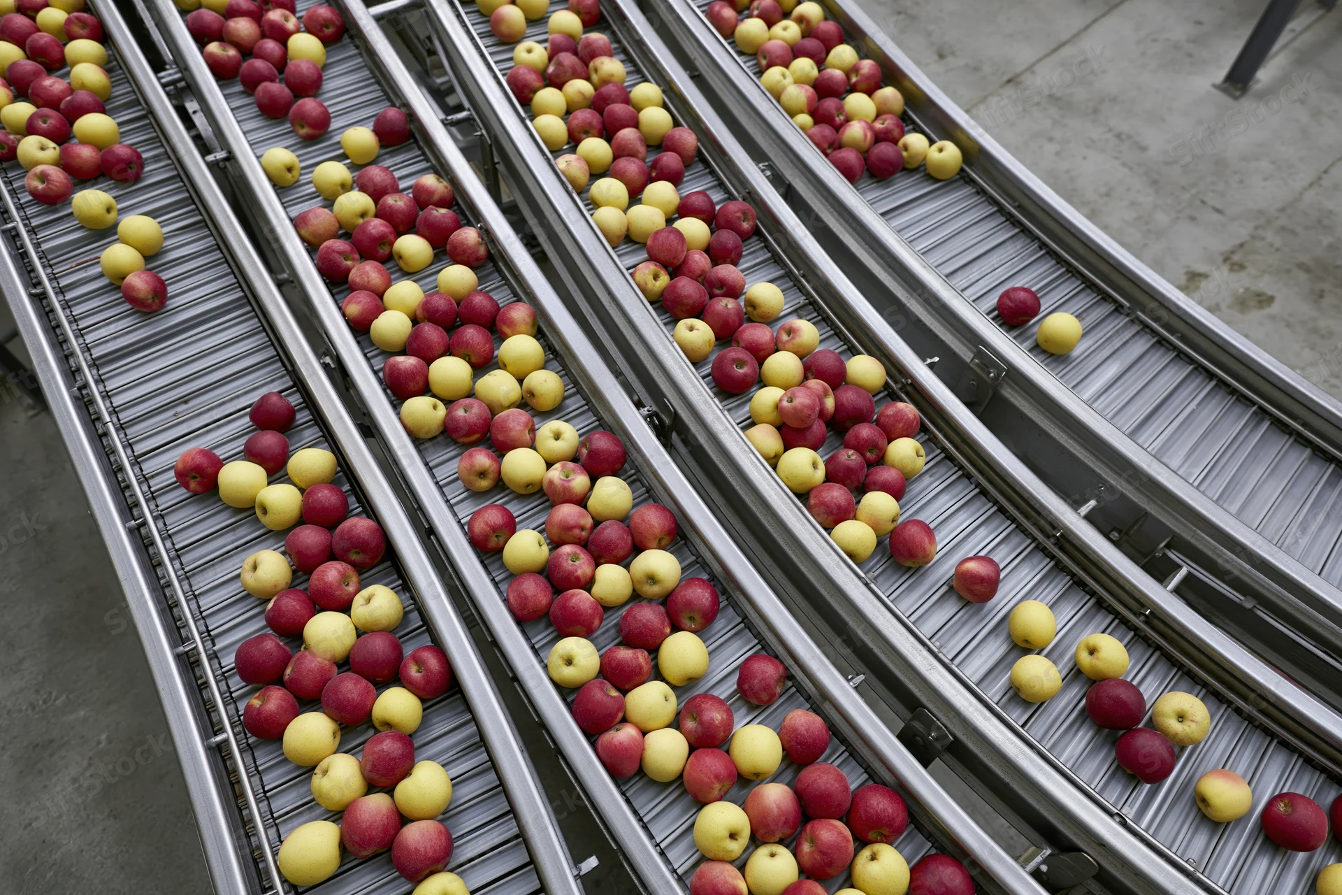 Red and yellow apples moving along parallel metal conveyor belts in a fruit processing facility