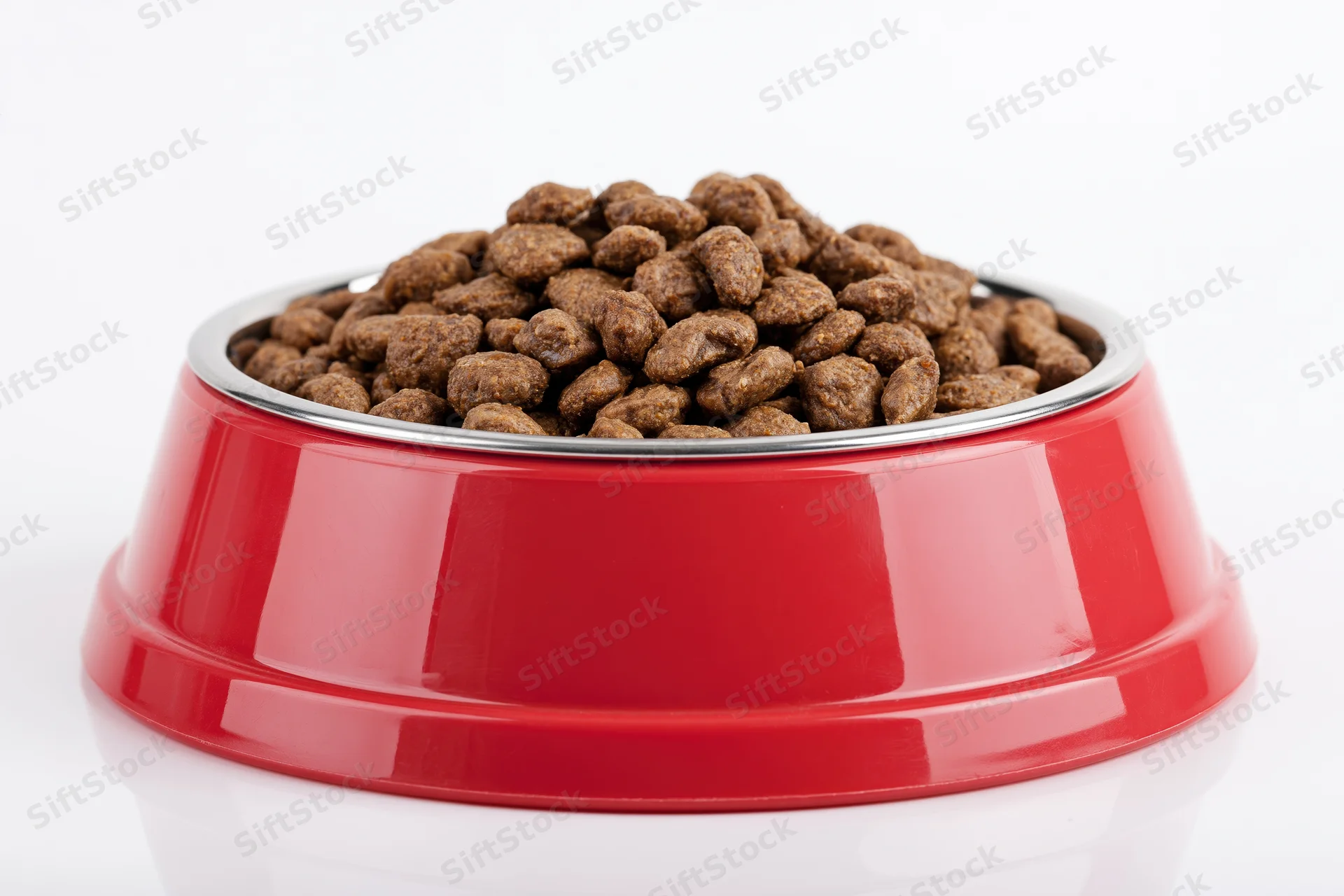 Red pet food bowl heaped with dry brown kibble on white background
