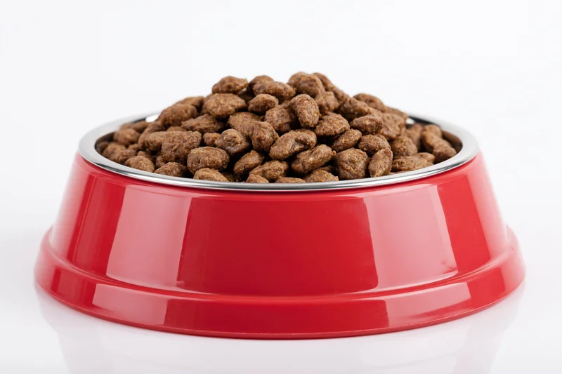 Red pet food bowl heaped with dry brown kibble on white background
