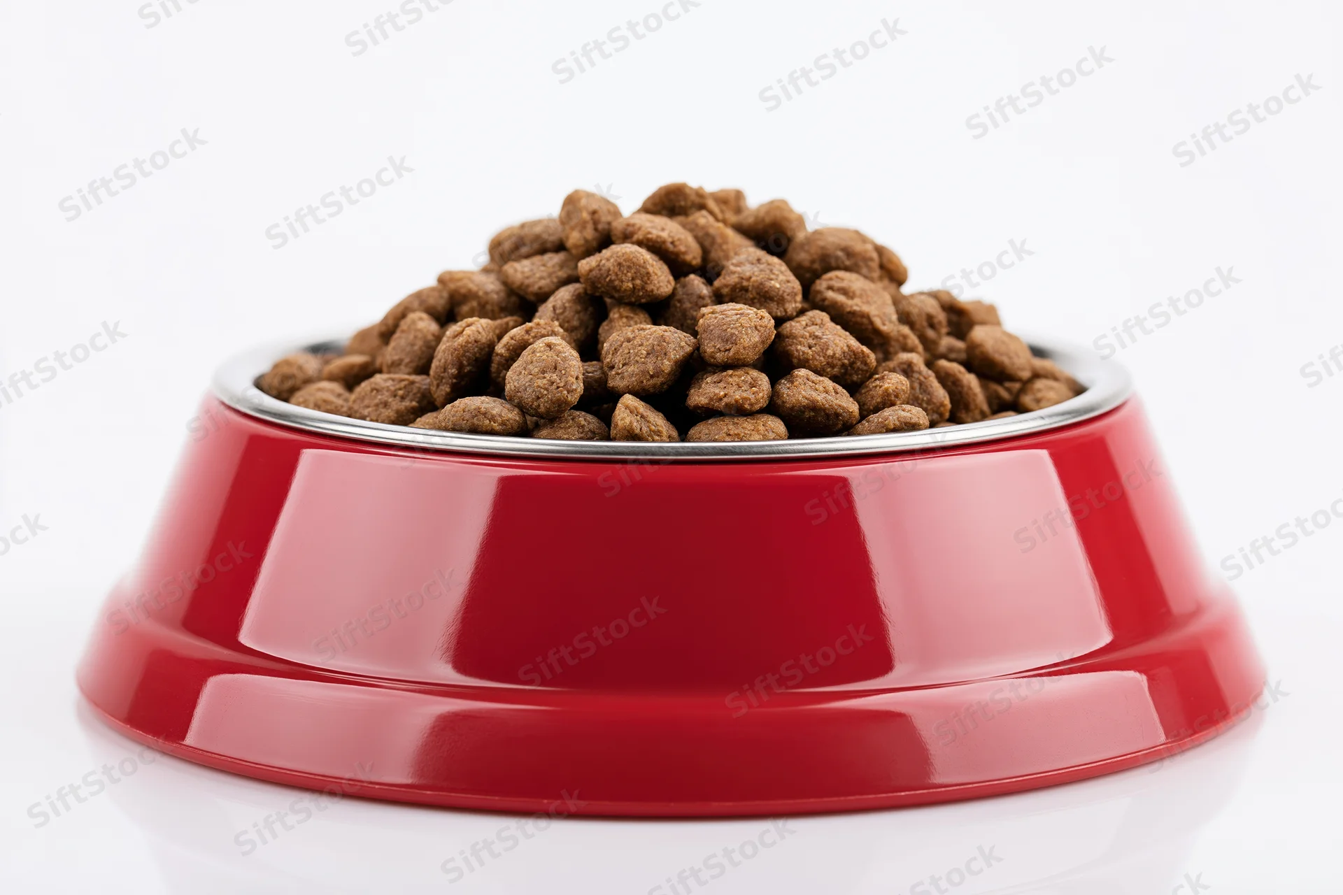 Red enamel pet bowl heaped with dry brown kibble on white background