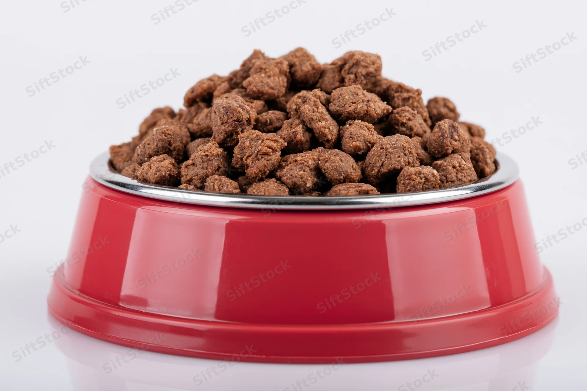 Red pet food bowl heaped with dry brown kibble on white background
