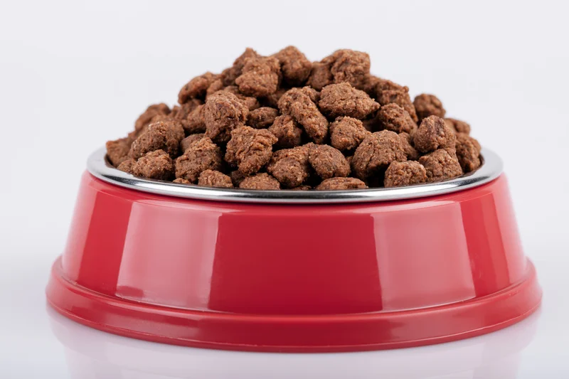 Red pet food bowl heaped with dry brown kibble on white background