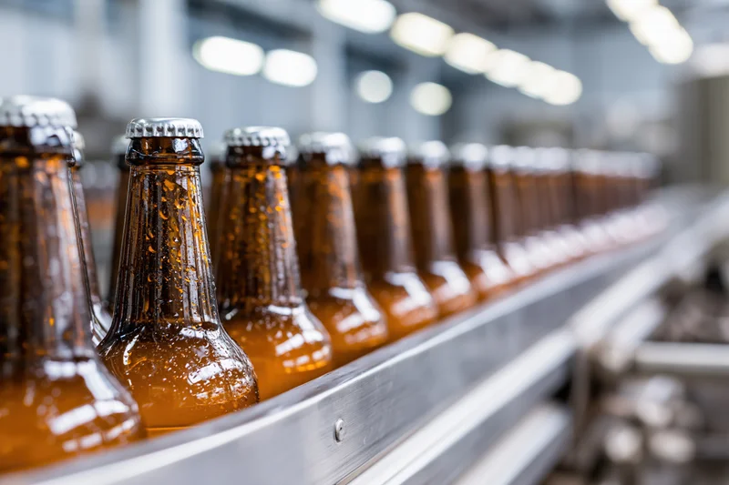 Amber glass beer bottles with silver caps moving along a conveyor in a brewery production line