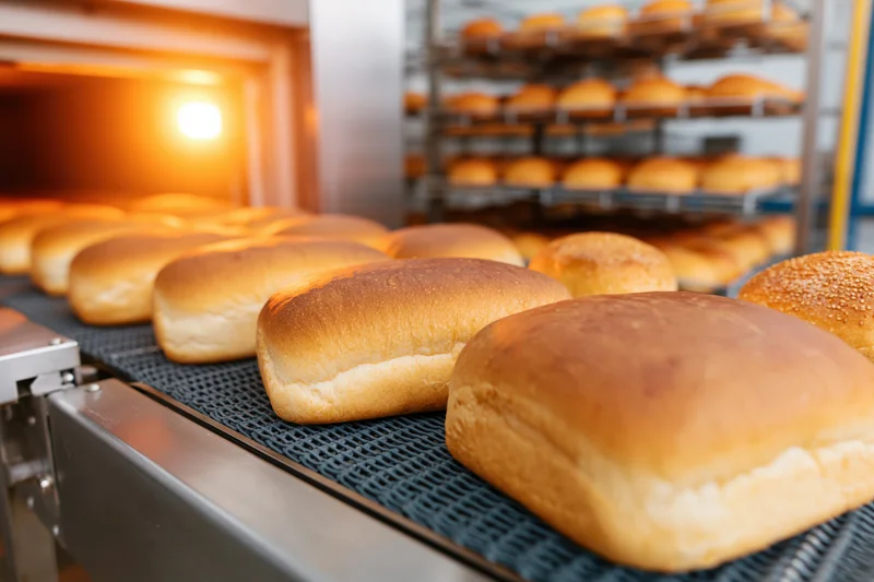 Freshly baked bread loaves moving along a conveyor belt in a bakery production line