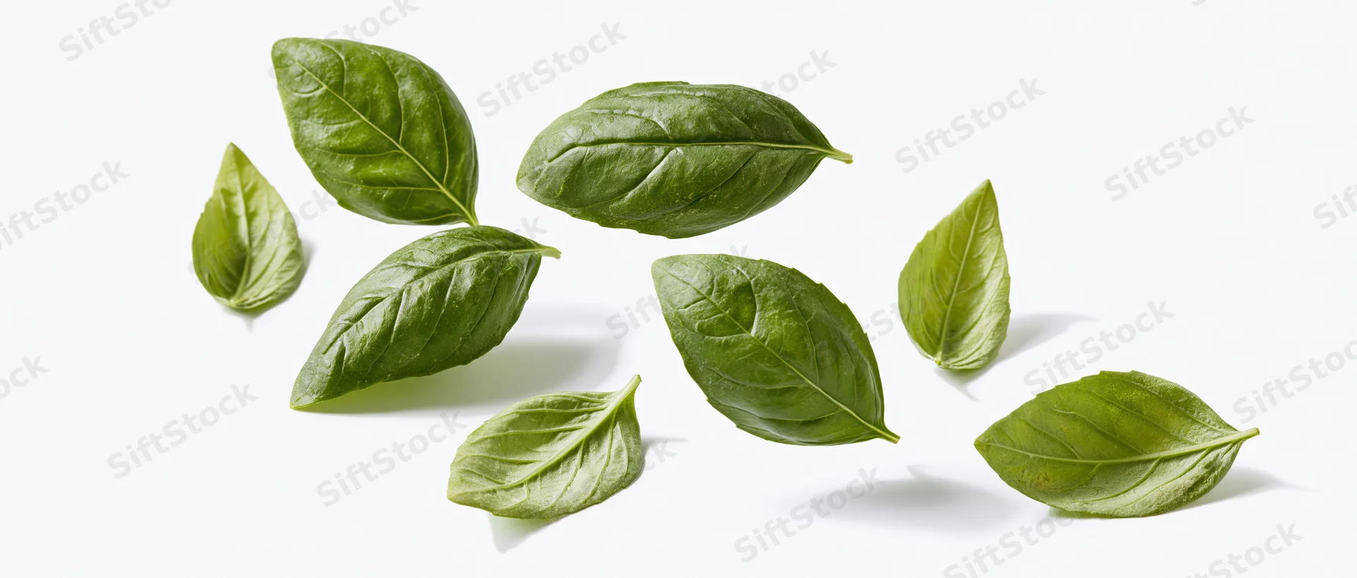 Fresh basil leaves scattered mid-fall against a pure white background