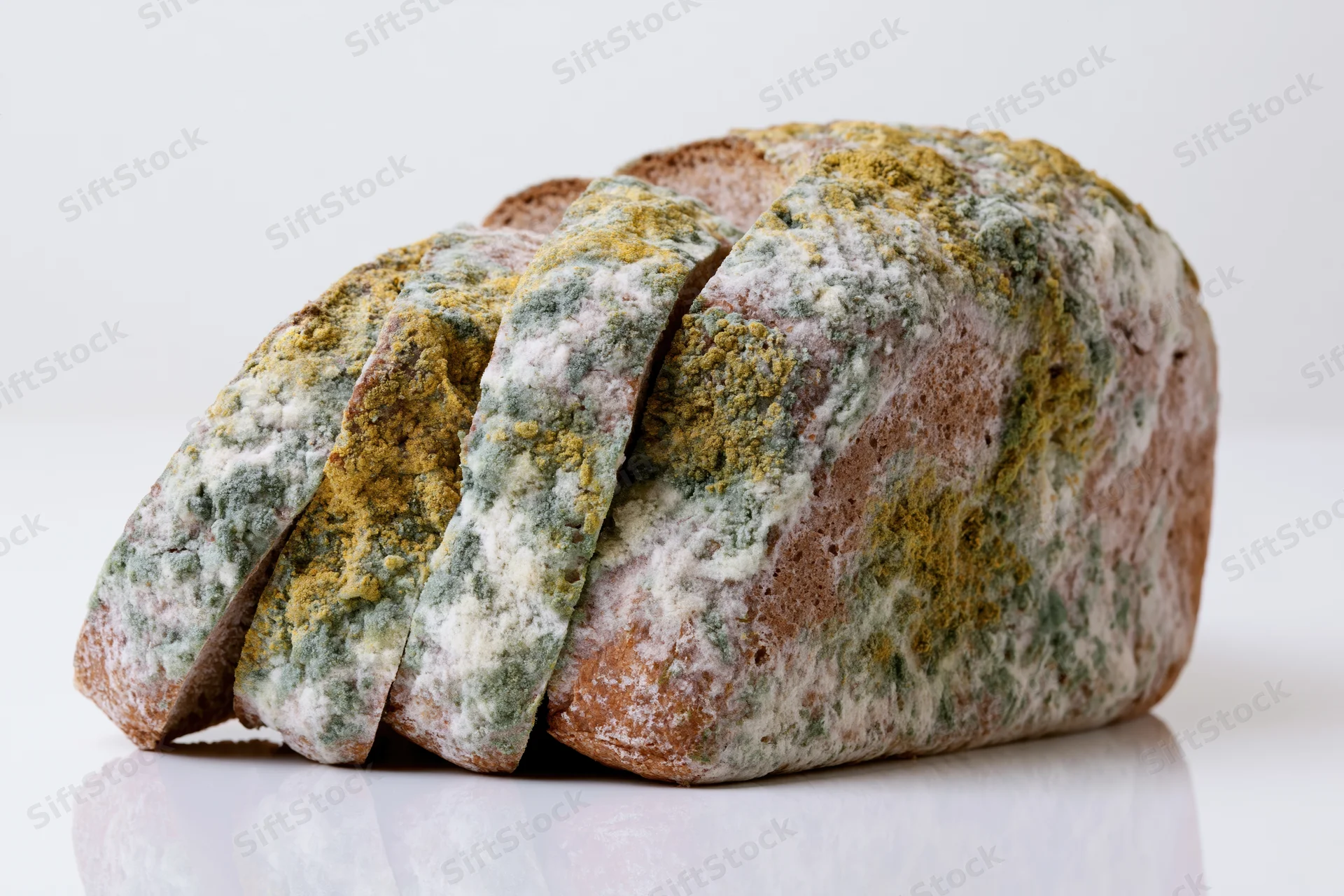 Sliced loaf of moldy whole wheat bread on white surface with reflection