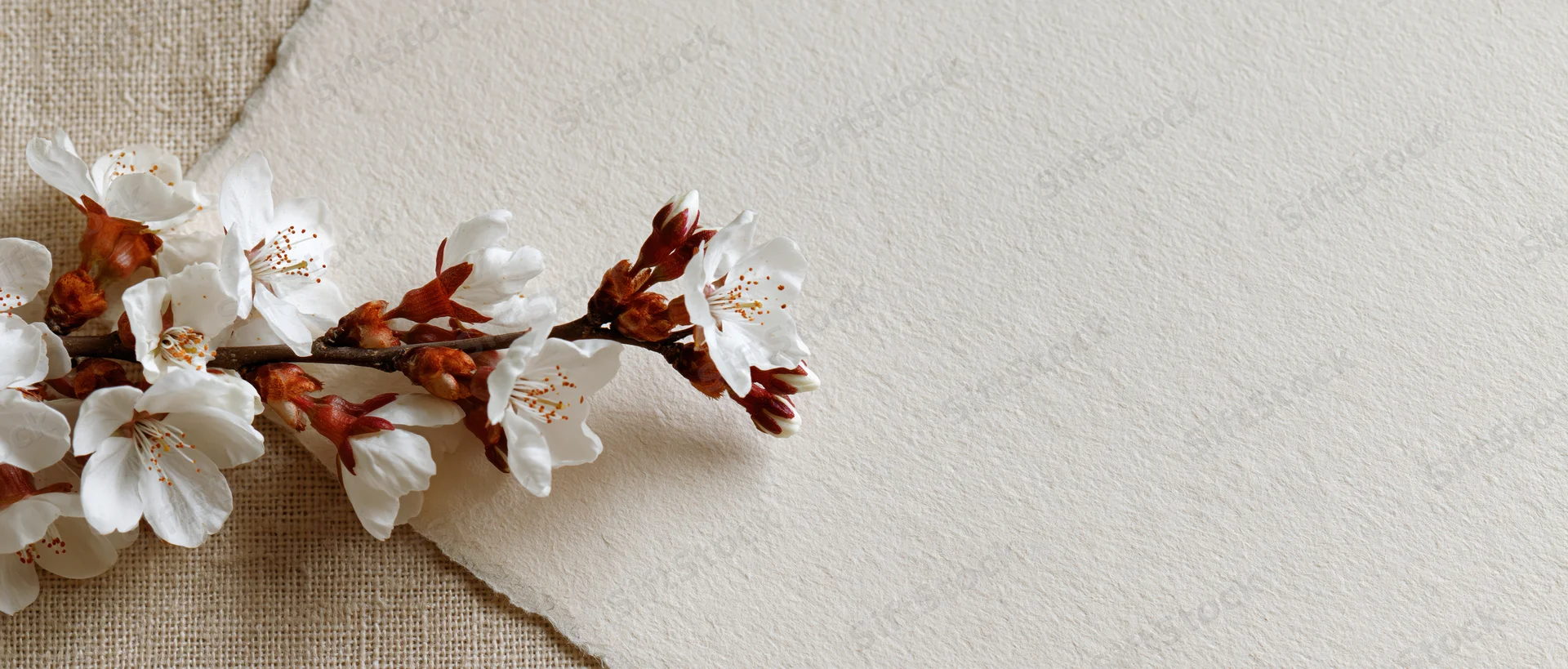 Cherry blossom branch with white flowers and rust-brown buds resting on textured paper and burlap fabric