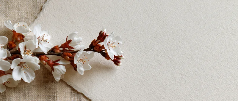Cherry blossom branch with white flowers and rust-brown buds resting on textured paper and burlap fabric