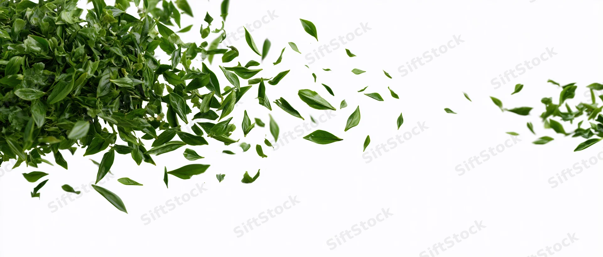 Green tea leaves floating and scattering across a white background