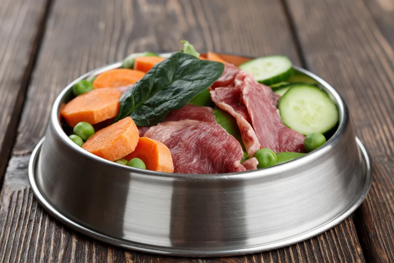 Stainless steel pet bowl filled with raw meat slices carrots cucumbers peas and spinach on wooden table