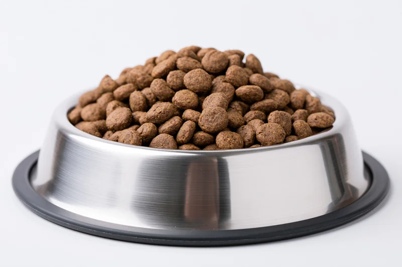 Stainless steel pet food bowl heaped with dry kibble on white background