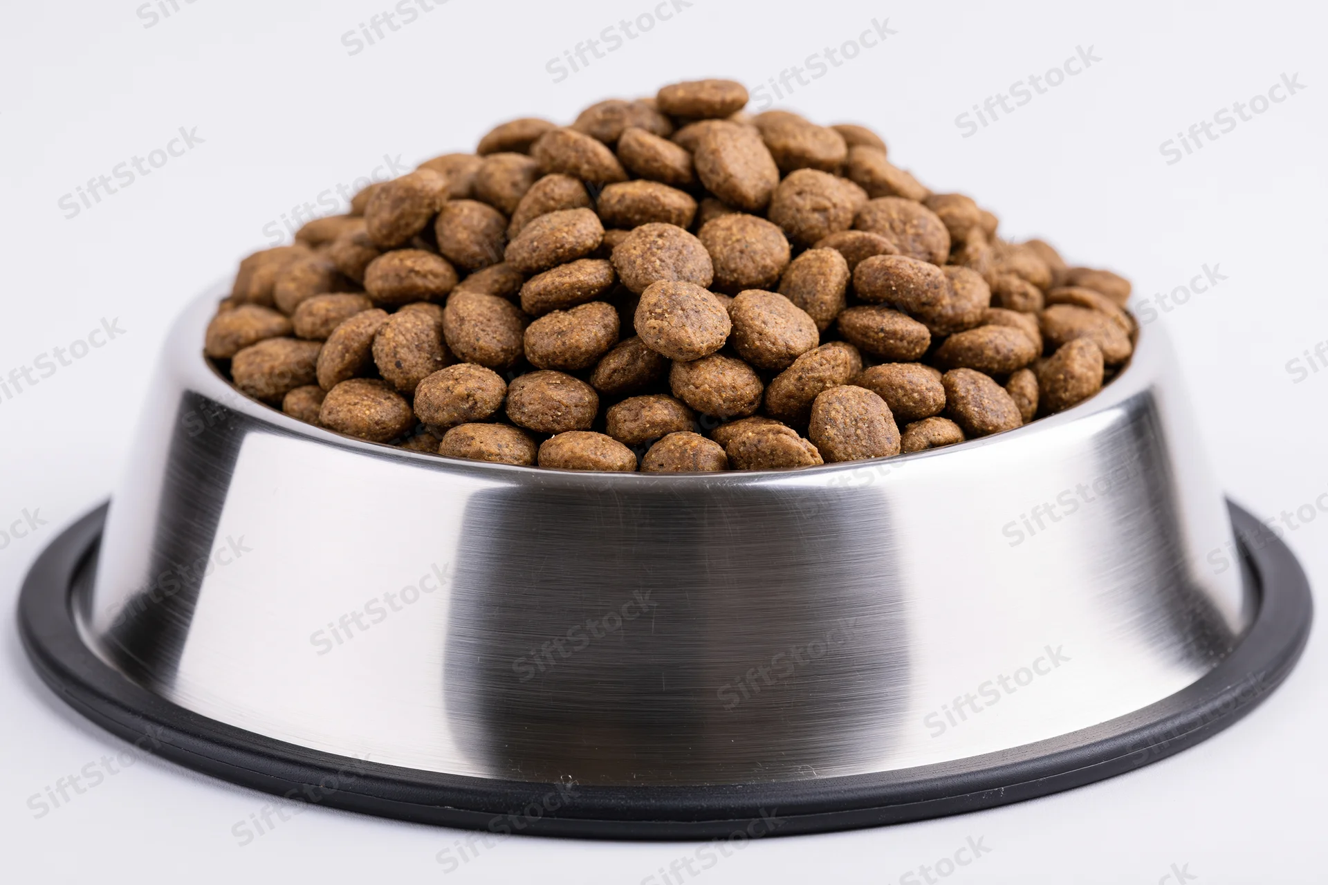 Stainless steel pet food bowl heaped with dry kibble on white background