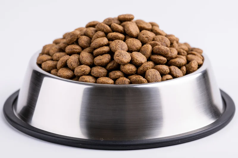 Stainless steel pet food bowl heaped with dry kibble on white background