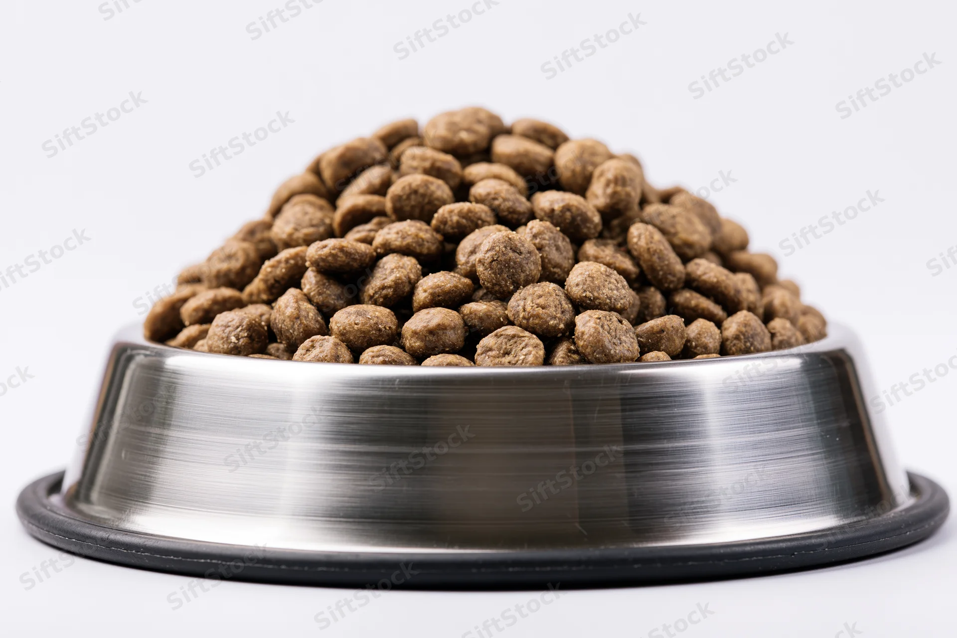 Stainless steel pet food bowl filled with dry kibble on white background
