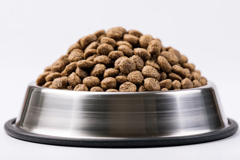 Stainless steel pet food bowl filled with dry kibble on white background