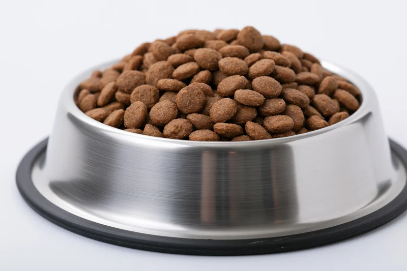 Stainless steel pet bowl filled with dry kibble on white background