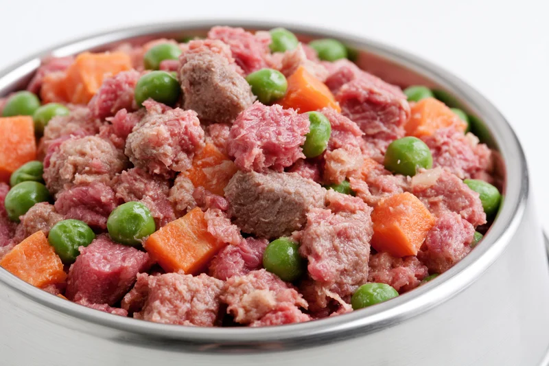 Stainless steel bowl filled with chunky wet dog food containing meat, carrots and peas