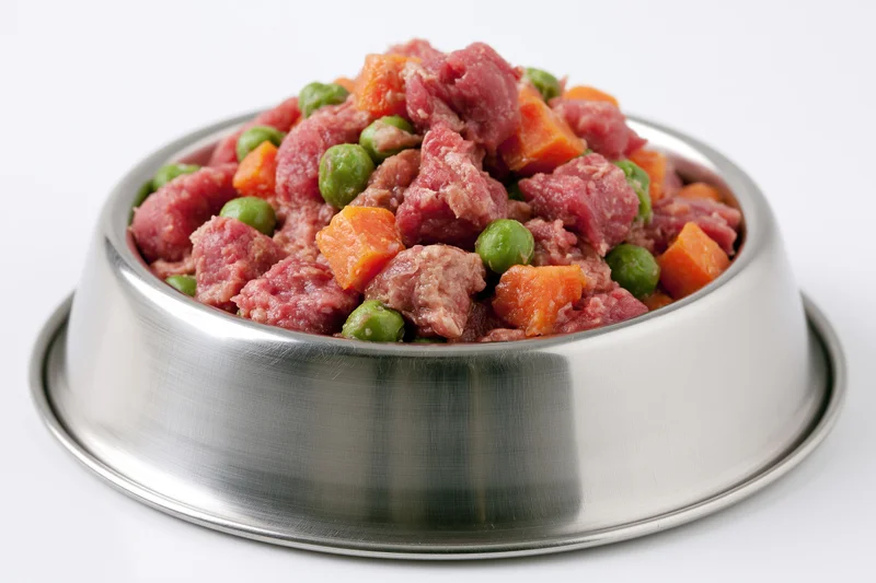 Stainless steel bowl filled with chunky wet dog food containing meat, carrots and peas on white background