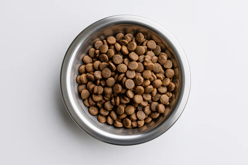 Stainless steel bowl filled with dry pet kibble on white surface
