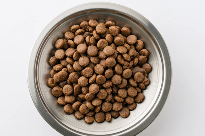 Dry kibble in a stainless steel bowl viewed from above on white background