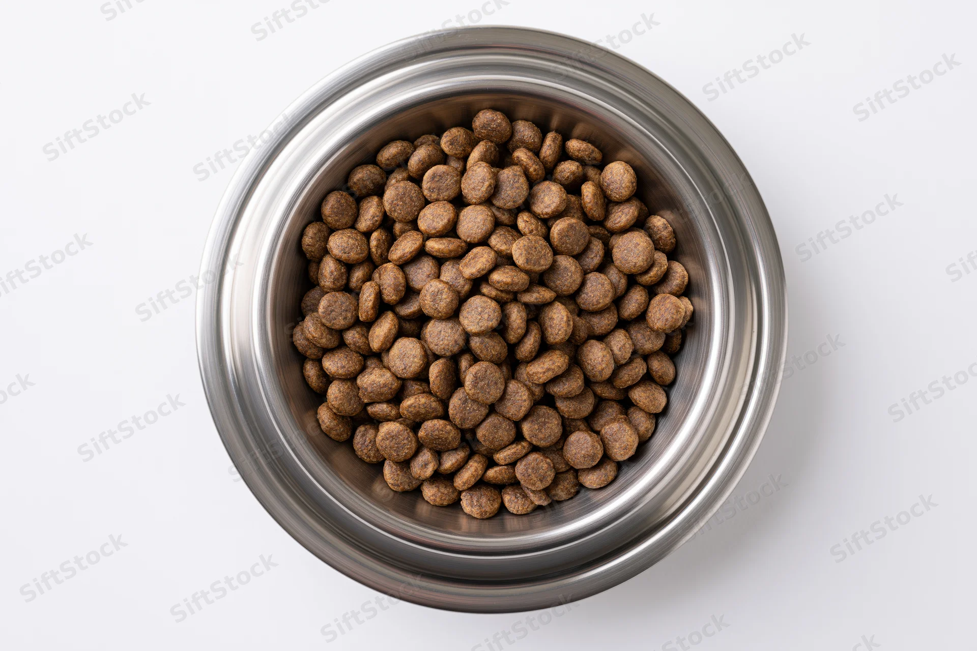 Stainless steel bowl filled with dry pet kibble viewed from above on white background