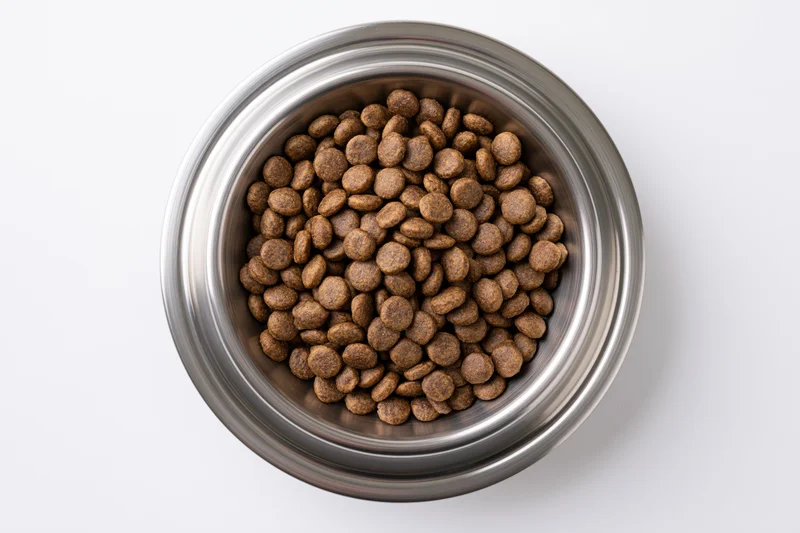 Stainless steel bowl filled with dry pet kibble viewed from above on white background