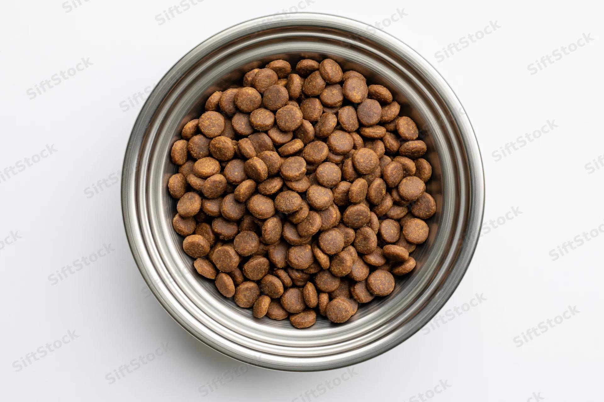 Stainless steel bowl filled with dry pet kibble on white background