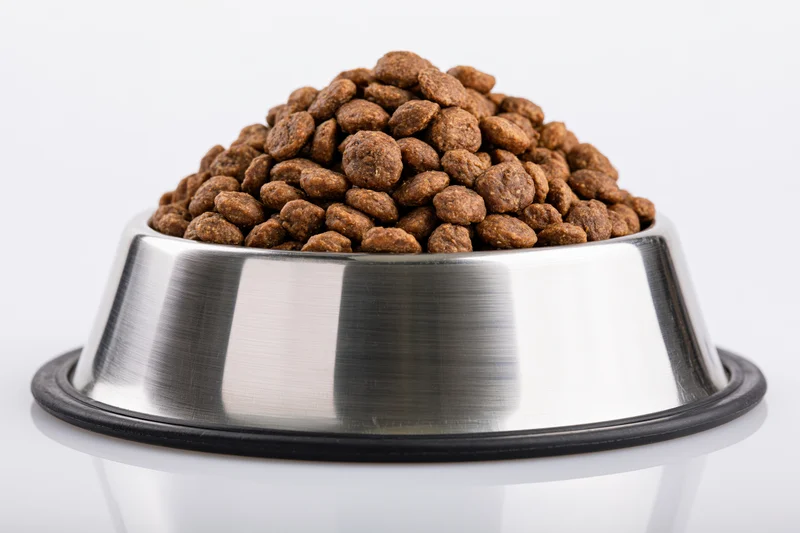Stainless steel pet bowl heaped with dry kibble on white background