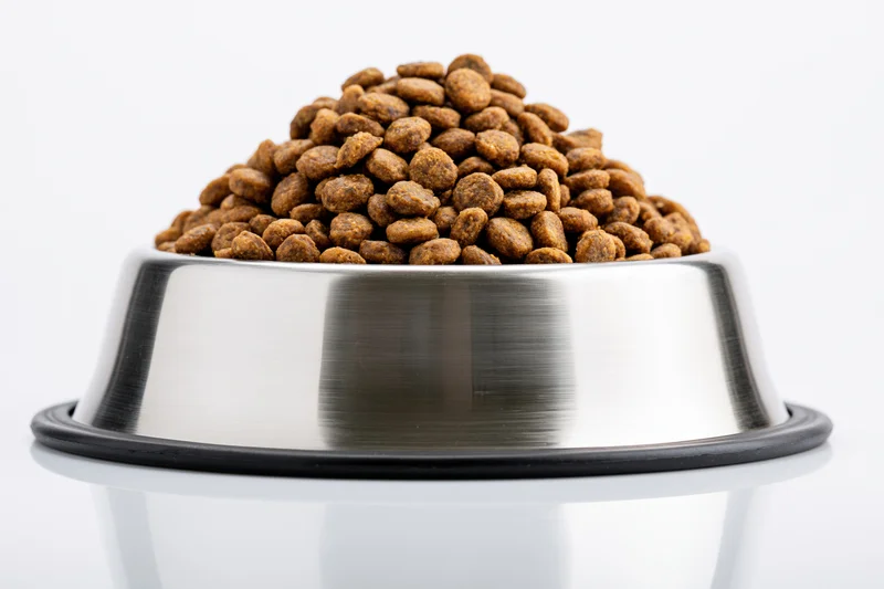 Heaped dry pet food in a stainless steel bowl with rubber base on white background