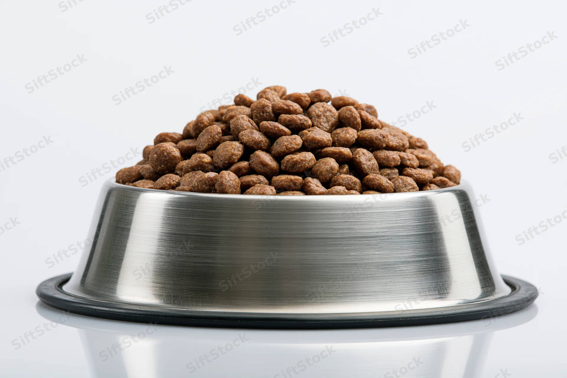 Stainless steel pet food bowl heaped with dry kibble on white background