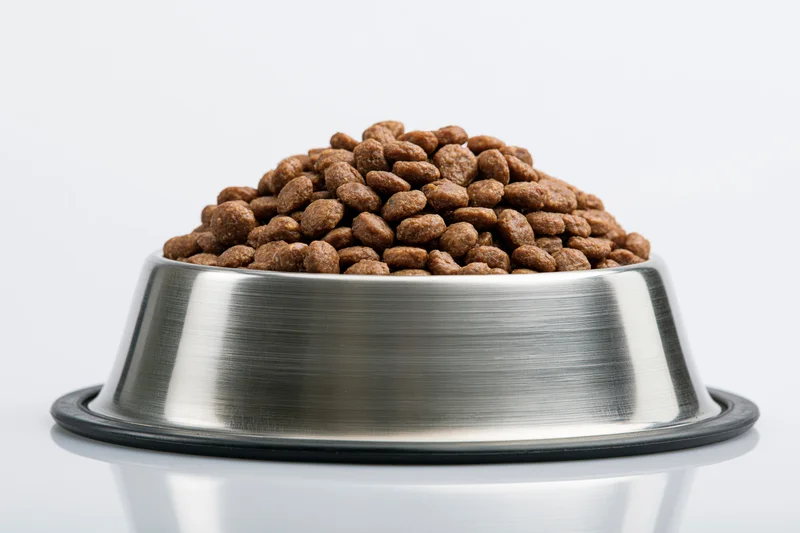 Stainless steel pet food bowl heaped with dry kibble on white background