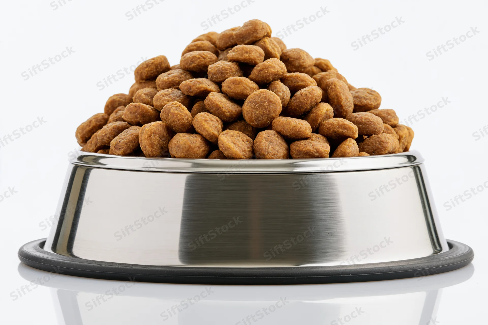 Heaped dry pet food in a stainless steel bowl with rubber base on white background