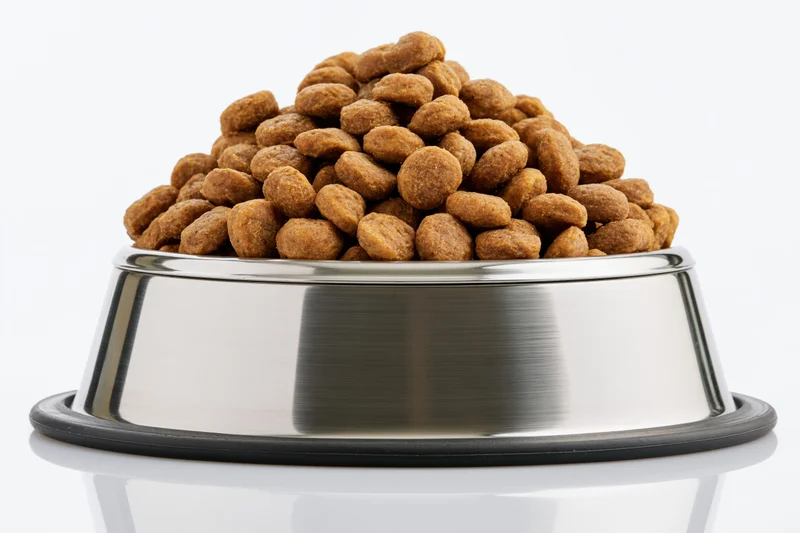 Heaped dry pet food in a stainless steel bowl with rubber base on white background