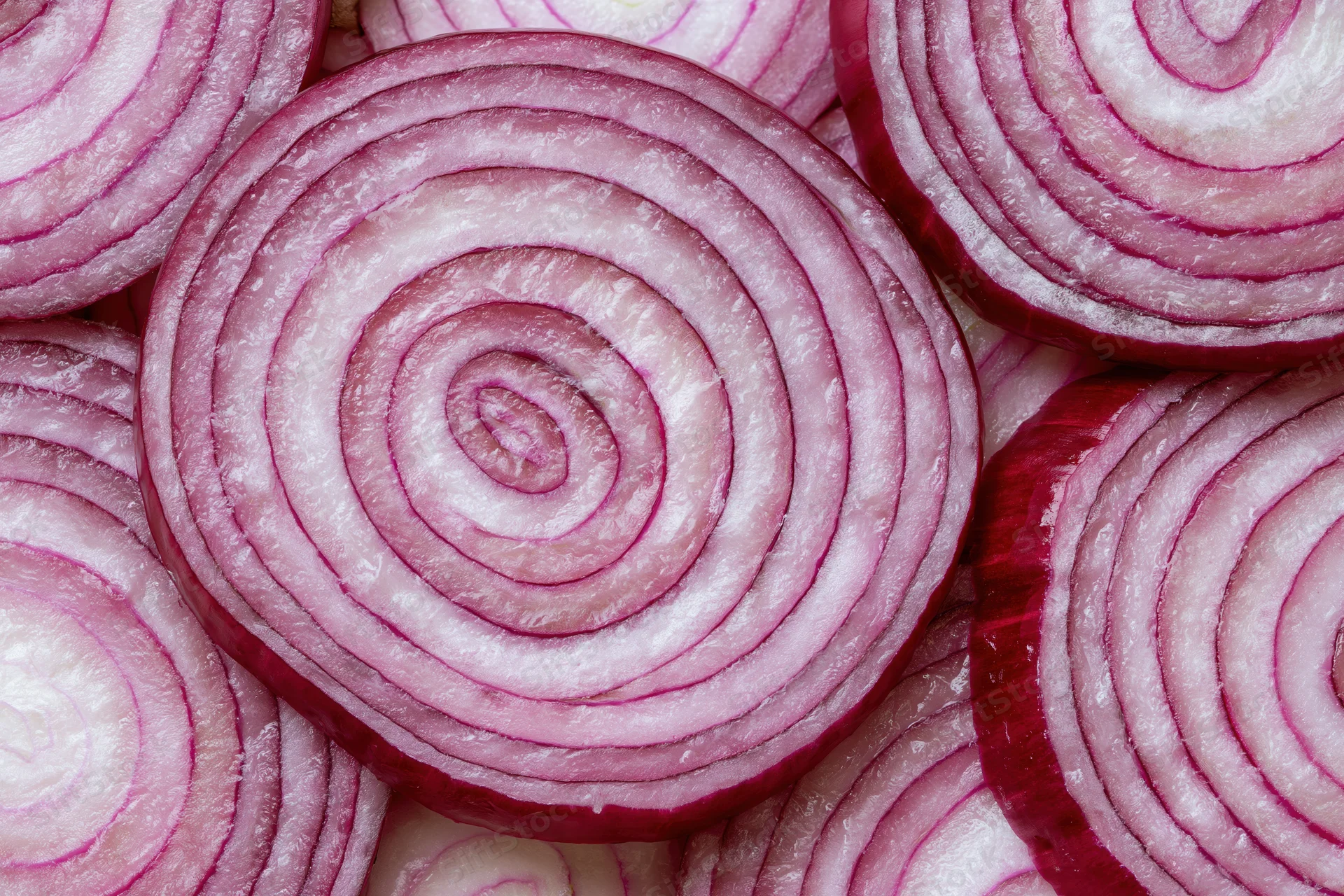 Closeup of red onion slices arranged flat showing concentric rings and layered texture