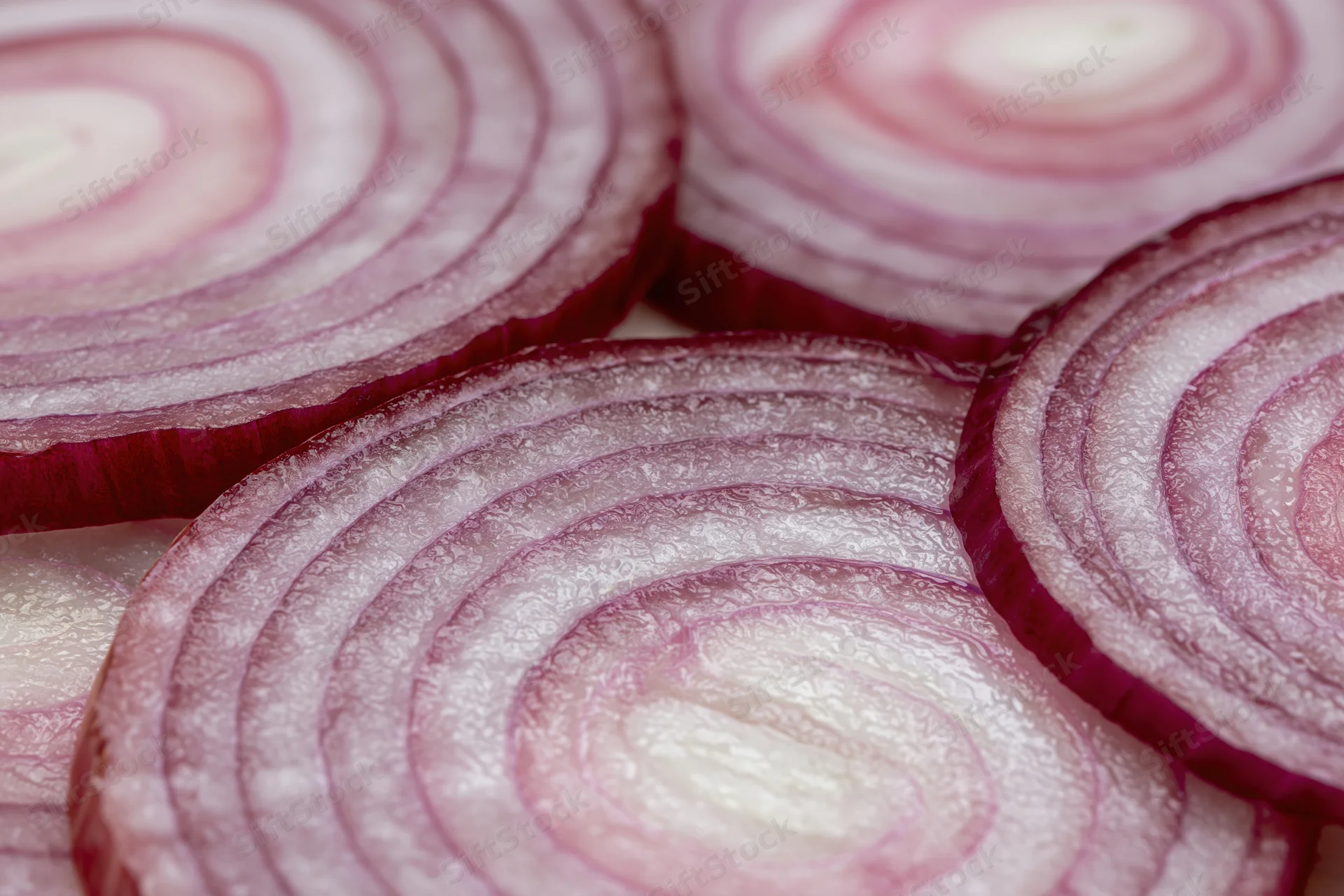 Closeup of sliced red onion rings arranged flat showing concentric layers and glossy texture