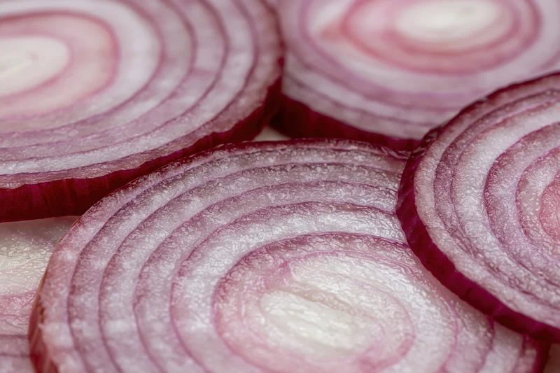 Closeup of sliced red onion rings arranged flat showing concentric layers and glossy texture