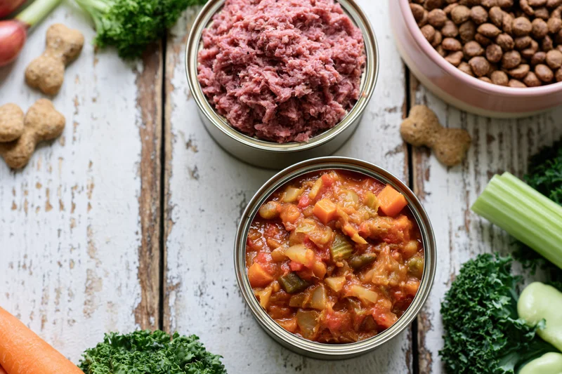 Two open cans of wet dog food with minced meat and vegetable stew arranged on a white wooden table with fresh vegetables and treats around