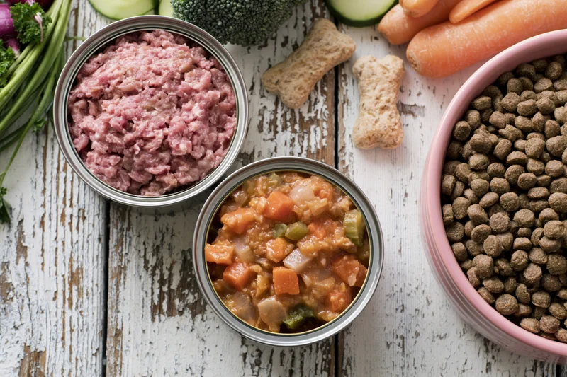 Open cans of wet dog food with minced meat and vegetable stew beside a bowl of kibble and fresh vegetables on a wooden surface