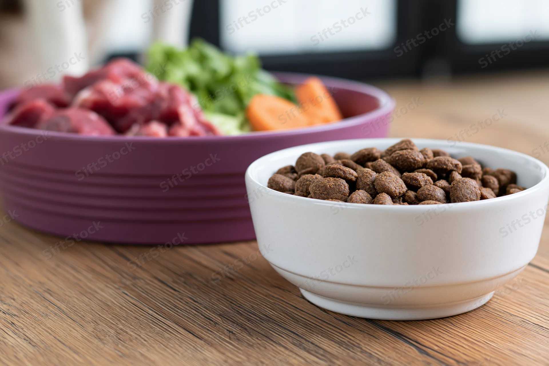 Two pet food bowls side by side on wooden floor, one with kibble and one with raw meat and vegetables